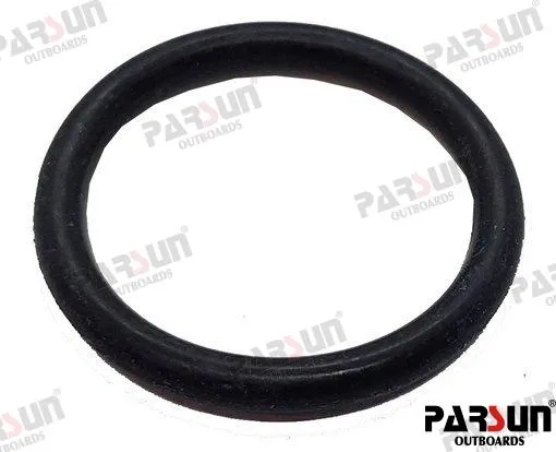 O RING F20.2X2.4