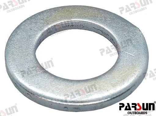 WASHER FLYWHEEL NUT