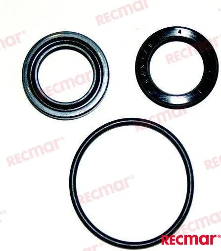 GASKET SET STEERING PISTON DPX