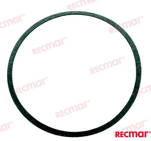 THERMOSTAT GASKET