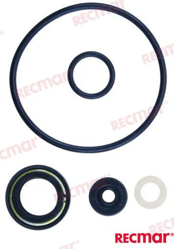 LOWER UNIT SEAL KIT