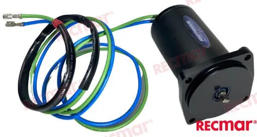 TRIM MOTOR