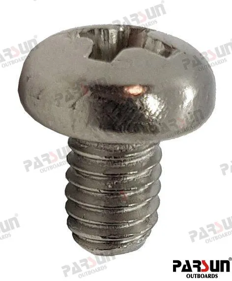 SCREW  PAN HEAD M4X6
