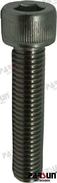 SCREW M10X1.5X45