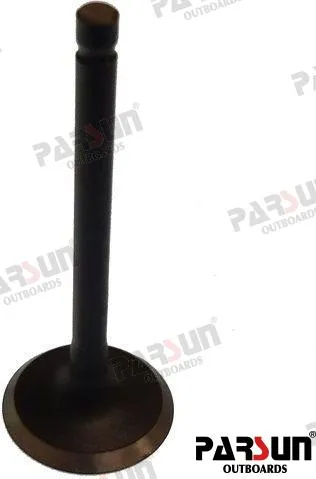 VALVE, INTAKE