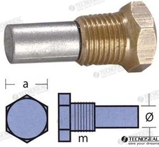 ANODE BUKH W/TAP