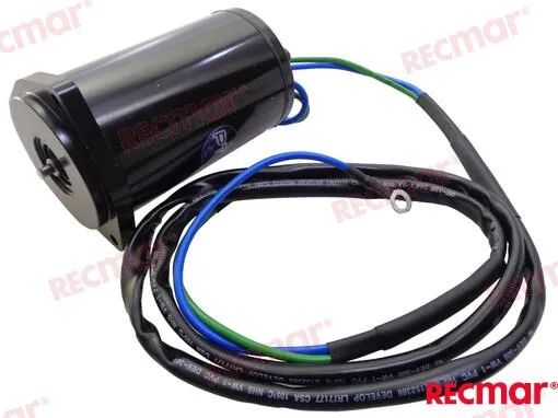 TRIM MOTOR