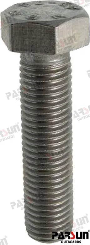 HEXAGON BOLT S M6X40