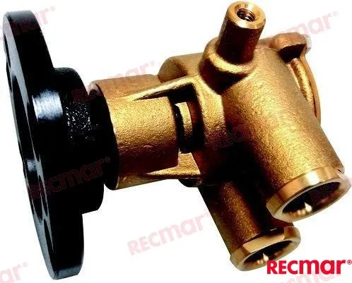 RAW WATER PUMP