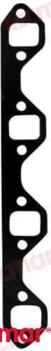MANIFOLD GASKET
