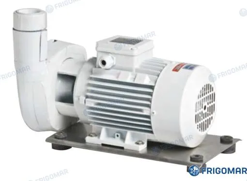 FANCOIL CIRCUIT CIRCULATION PUMP C(M) 22