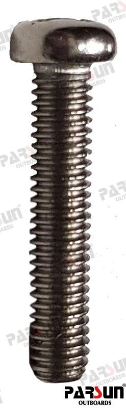 SCREW,PAN HEAD M6X30