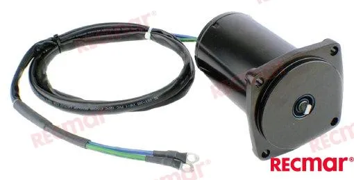 TRIM MOTOR SUZUKI