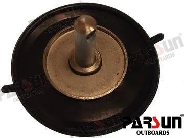 DIAPHRAGM ASSY