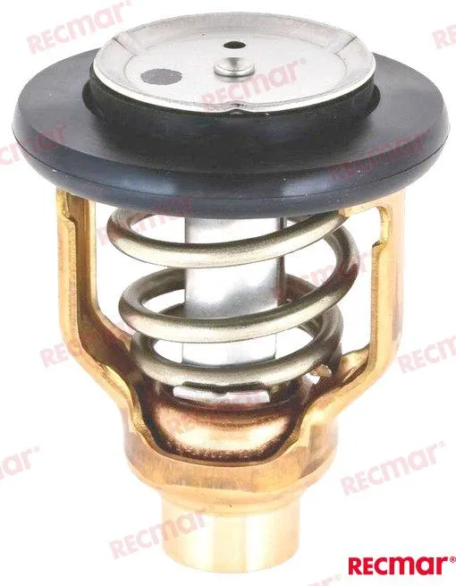 THERMOSTAT
