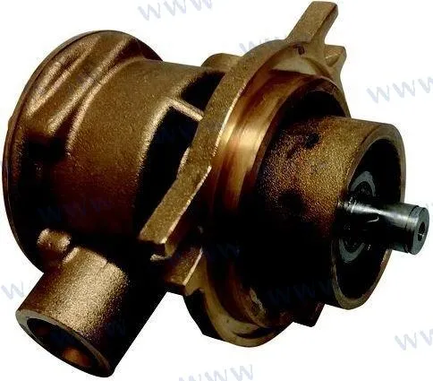 RAW WATER PUMP