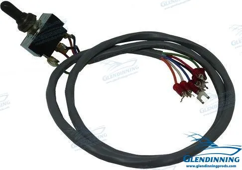 CM POWER SWITCH 3' ASSY 6 WIRE