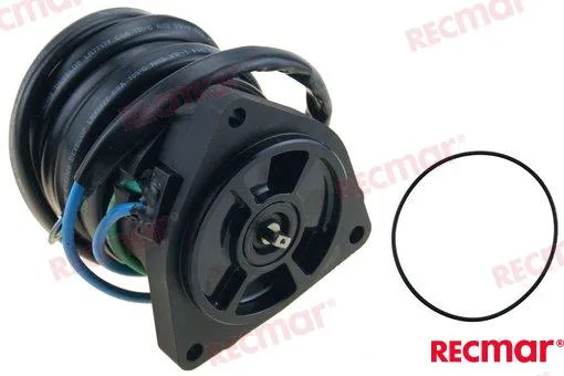 TRIM MOTOR