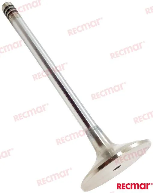 VOLVO INTAKE VALVE