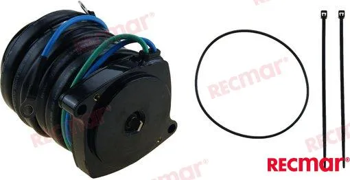 TRIM MOTOR