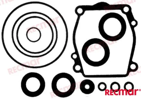 LOWER UNIT SEAL KIT