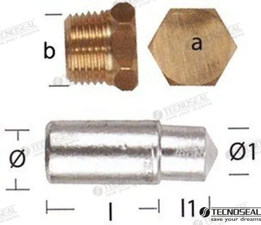 ANODE LOMBARDINI W/TAP