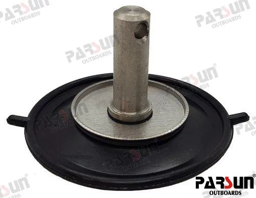 DIAPHRAGM ASSY