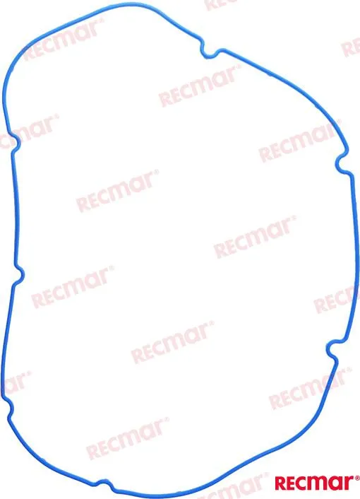 GASKET:VALVE COVER GENE V