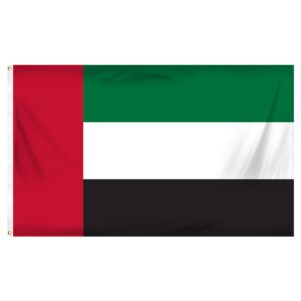 UAE Flag 1X3
